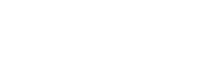 The Brandologist Co.